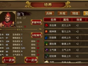 同人圣三国蜀汉传第13关攻略：智勇双全过蜀汉破敌之战