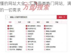 你懂的网址大全，汇聚各类热门网站，满足你的一切需求