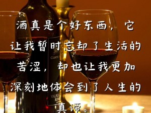 酒色一生【酒色一生，醉生梦死，不如洒脱走一回】