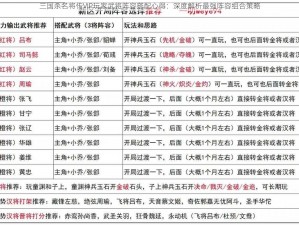 三国杀名将传VIP玩家武将阵容搭配心得：深度解析最强阵容组合策略