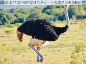 探秘非洲 BBOOMBBOOM 的含义——一款来自非洲的神秘产品