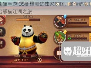 功夫熊猫手游iOS删档测试独家攻略：激活码获取全览，开启熊猫江湖之旅