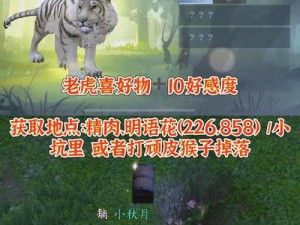 逆水寒手游兵刃之争攻略：详解人间任务兵刃之争流程与策略指南