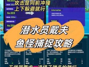 《潜水探秘：戴夫石纹电鳐的神秘抓捕地点揭秘》