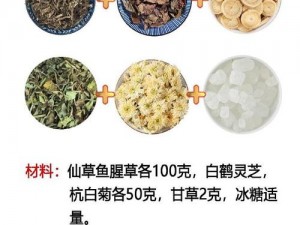 鸣潮之下舒云独特凉茶秘方探秘：秘制凉茶配方获取与制作方法详解