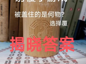 江湖悠悠射覆第九关揭秘：答案解析与分享专题报告