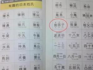 2018的中文名叫什么、2018 年的中文名叫什么？让我们来一探究竟