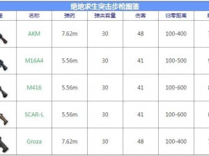 绝地求生全军出击：步枪武器实战应用与性能解析