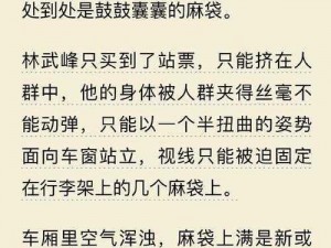 公交车系列之诗涵的最新章节、公交车系列之诗涵的最新章节：揭秘神秘事件