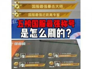 和平精英地区称号展示攻略：如何设置并显示你的地区荣誉