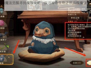 哈利波特魔法觉醒寻找嗅嗅攻略：探寻神奇生物之旅启程魔法世界的冒险之旅