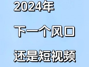 2024国产精品视频(如何评价 2024 国产精品视频？)