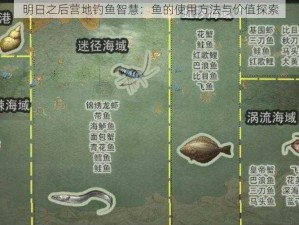 明日之后营地钓鱼智慧：鱼的使用方法与价值探索