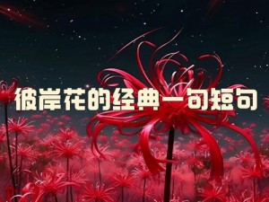 剑梦尘影花落处：探寻花语秘术与心灵之途的终极攻略