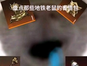 地铁逃生中的老鼠表情包：惊魂时刻的全面指南