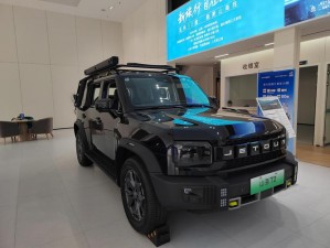 国产精品久久久久毛片SUV_国产精品久久久久毛片 SUV：国产 SUV 中的精品，你不能错过