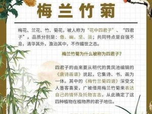 花中君子梅兰竹菊;花中君子梅兰竹菊，你最喜欢哪一个？