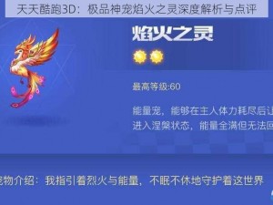 天天酷跑3D：极品神宠焰火之灵深度解析与点评