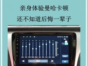 海岛奇兵音响设置教程：如何轻松操作音响功能？