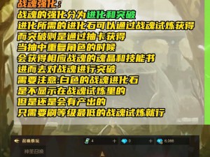 超级地城之光战魂魂印搭配攻略：如何精准选择魂印，打造无敌战魂