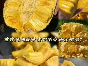 菠萝蜜国际一区麻豆-菠萝蜜国际一区麻豆：探寻未知的世界