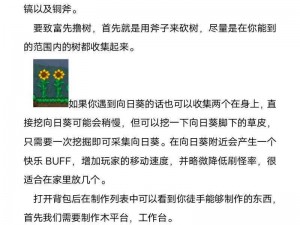 泰拉科技新手入门指南：从基础到进阶的全面攻略