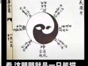 太极熊猫陈揭秘：熊猫武神——新手入门的不二利器：无敌战力轻松掌握