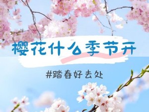 樱花官网官方进入 如何进入樱花官网官方网站？