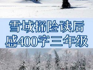 雪舞冬日，铲雪先锋的意外冒险与惊喜过冬之旅