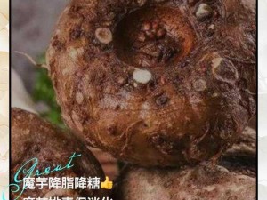 命运决战：恶果魔芋全面图鉴——探索命运与恶果魔芋的交织世界