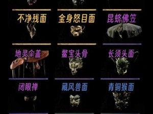 龙族幻想猎鹰龙语装备全景展示：装备概览与特色解析