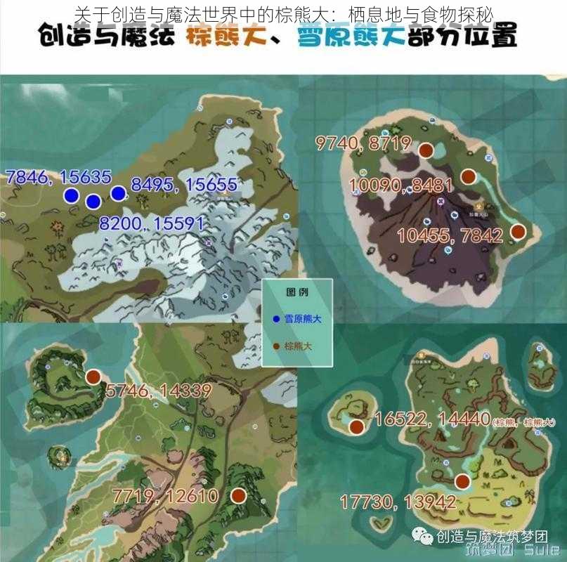 关于创造与魔法世界中的棕熊大：栖息地与食物探秘