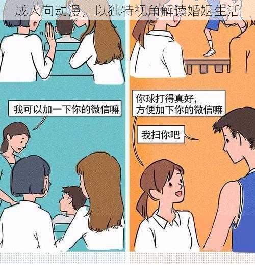 成人向动漫，以独特视角解读婚姻生活