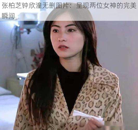 张柏芝钟欣潼无删图片：呈现两位女神的完美瞬间