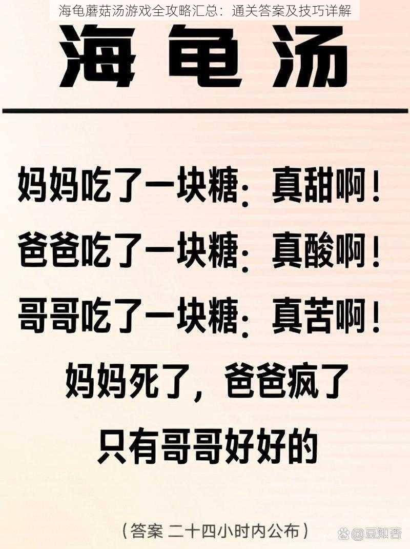 海龟蘑菇汤游戏全攻略汇总：通关答案及技巧详解