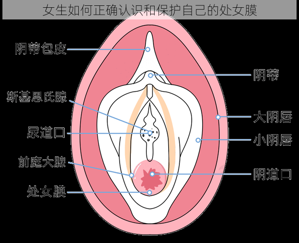 女生如何正确认识和保护自己的处女膜