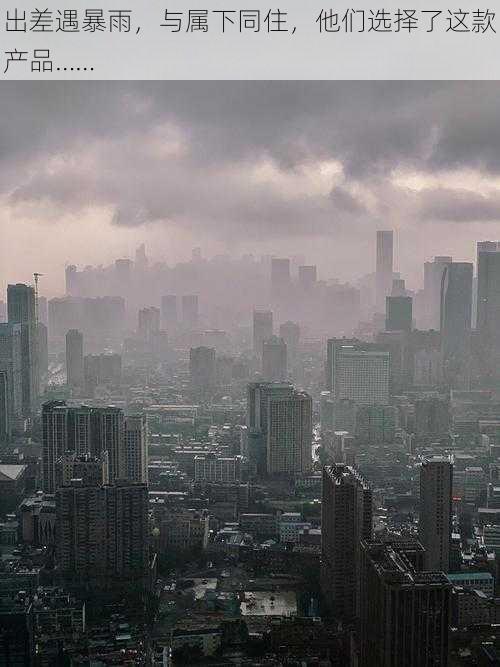 出差遇暴雨，与属下同住，他们选择了这款产品……