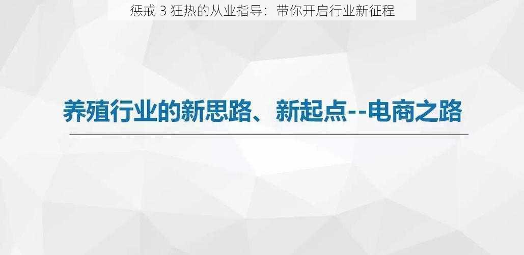 惩戒 3 狂热的从业指导：带你开启行业新征程