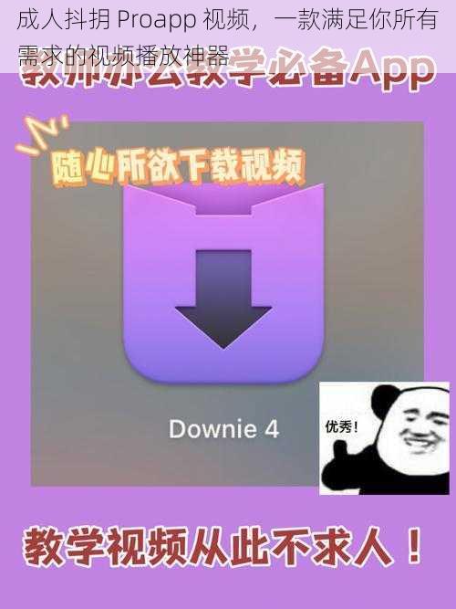 成人抖抈 Proapp 视频，一款满足你所有需求的视频播放神器