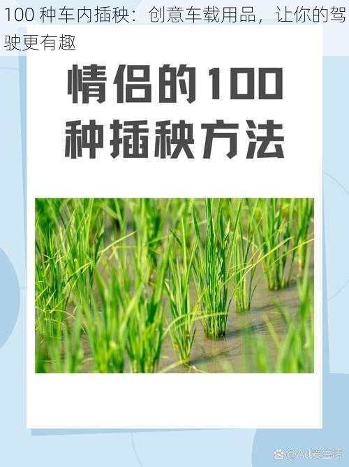 100 种车内插秧：创意车载用品，让你的驾驶更有趣