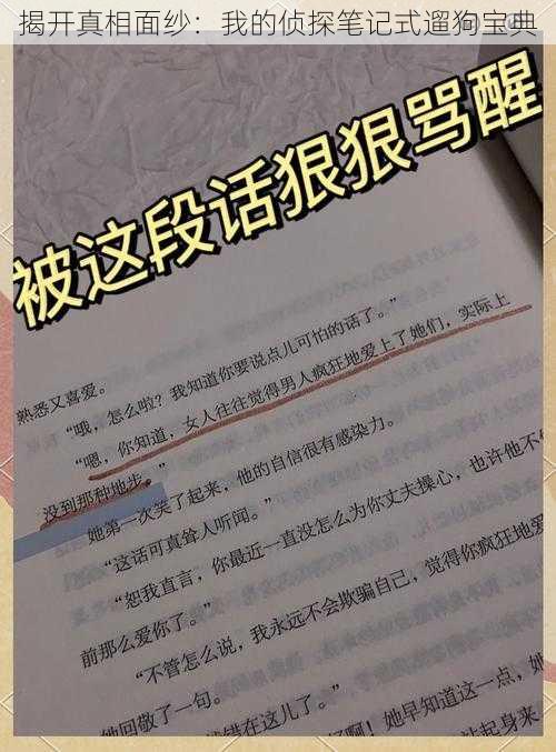 揭开真相面纱：我的侦探笔记式遛狗宝典