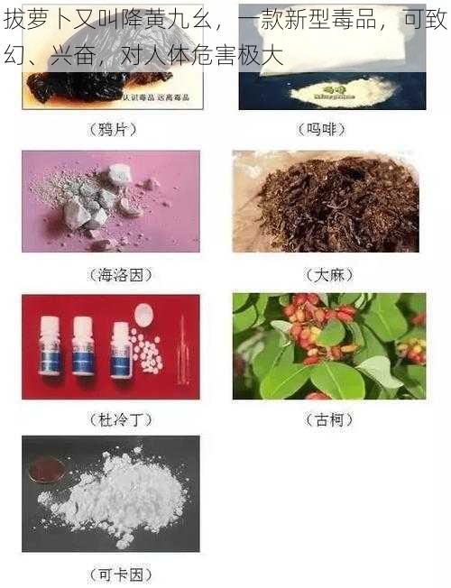 拔萝卜又叫降黄九幺，一款新型毒品，可致幻、兴奋，对人体危害极大