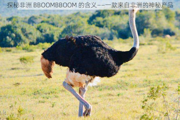 探秘非洲 BBOOMBBOOM 的含义——一款来自非洲的神秘产品