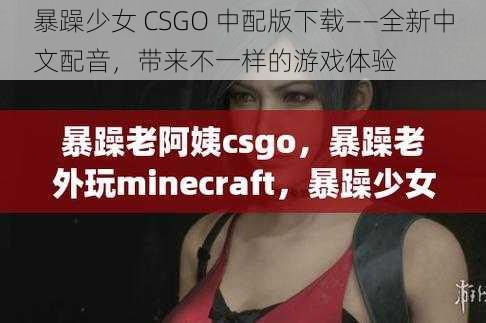 暴躁少女 CSGO 中配版下载——全新中文配音，带来不一样的游戏体验