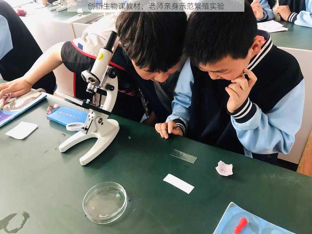 创新生物课教材，老师亲身示范繁殖实验