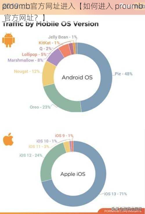 proumb官方网址进入【如何进入 proumb 官方网址？】