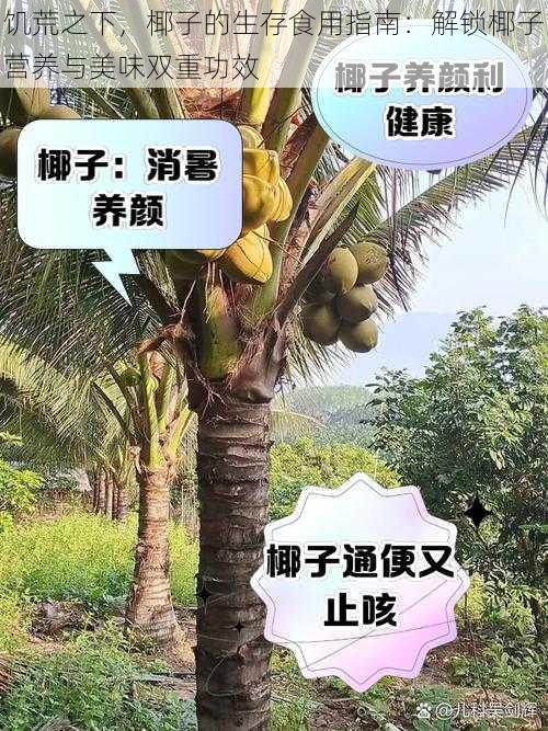 饥荒之下，椰子的生存食用指南：解锁椰子营养与美味双重功效