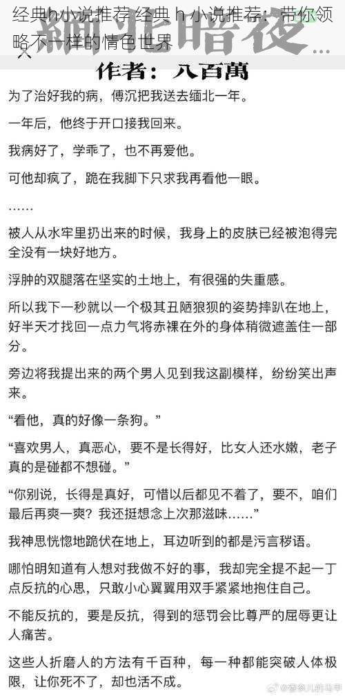 经典h小说推荐 经典 h 小说推荐：带你领略不一样的情色世界