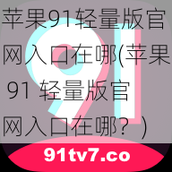 苹果91轻量版官网入口在哪(苹果 91 轻量版官网入口在哪？)