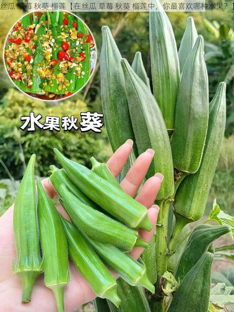 丝瓜 草莓 秋葵 榴莲【在丝瓜 草莓 秋葵 榴莲中，你最喜欢哪种水果？】